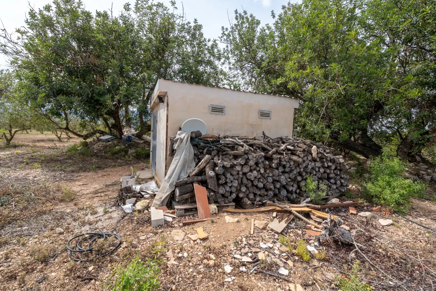 Rural land for sale in Camí Sant Francesc 10, imagen 22