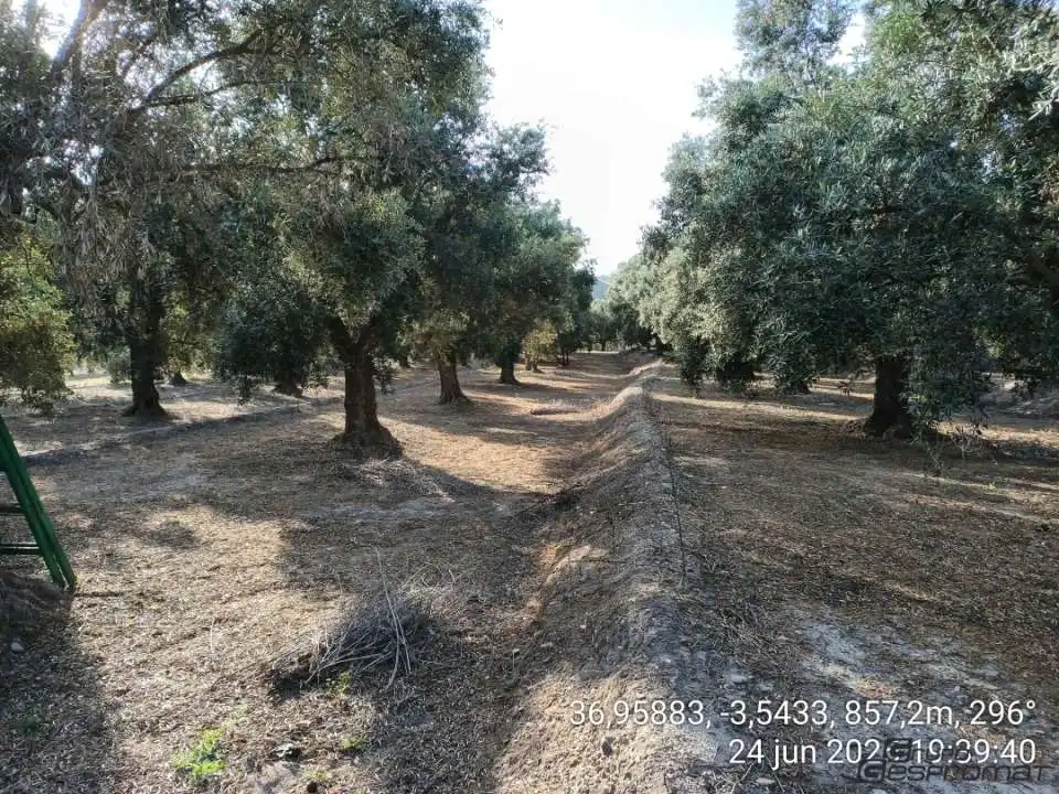Terreno rustico in vendita a Calle poligono 2, parcela 207,208, Tomillar, Lecrín 0, imagen 15