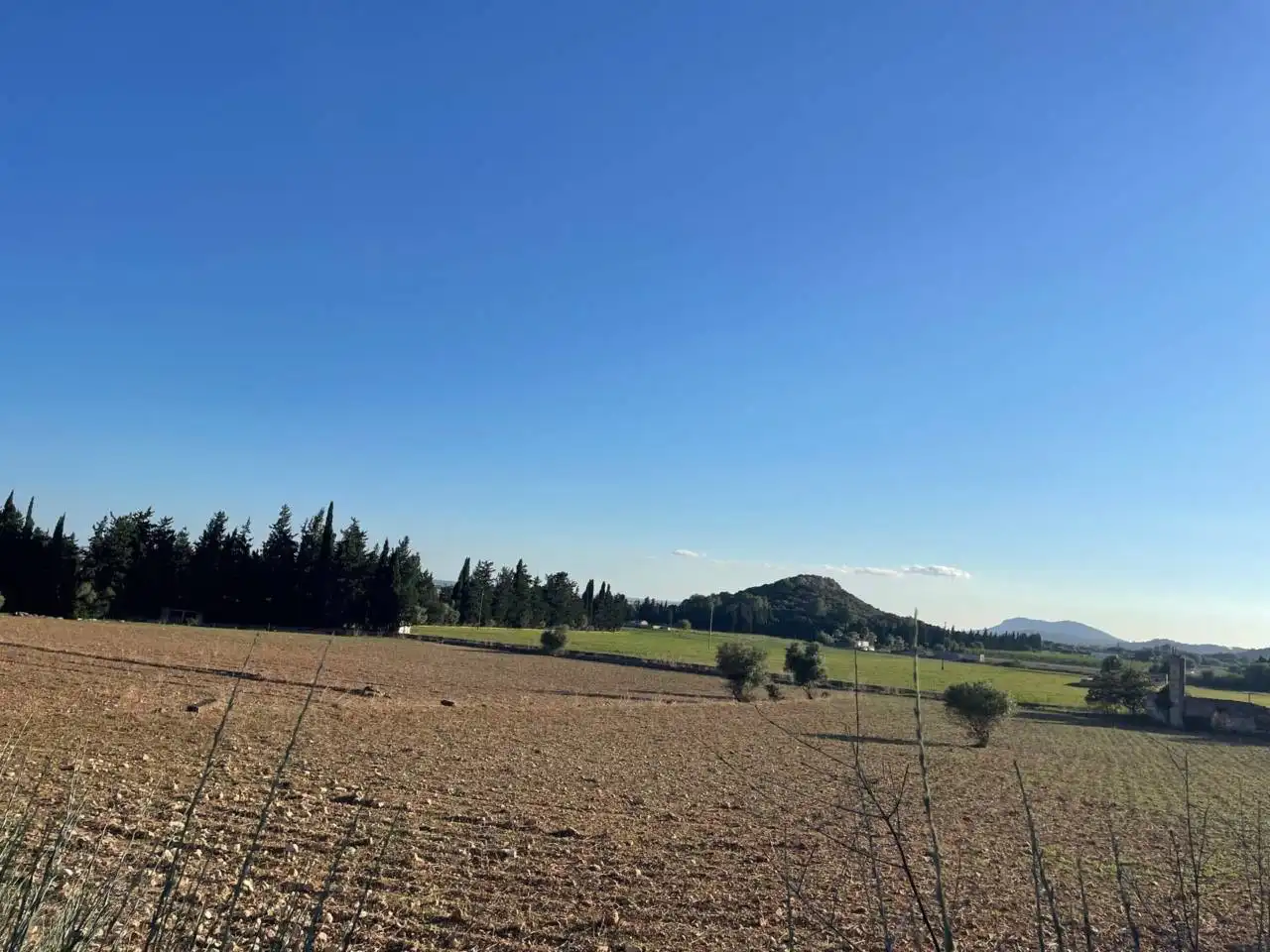 Landhaus zum Verkauf in Sa Pobla, imagen 22