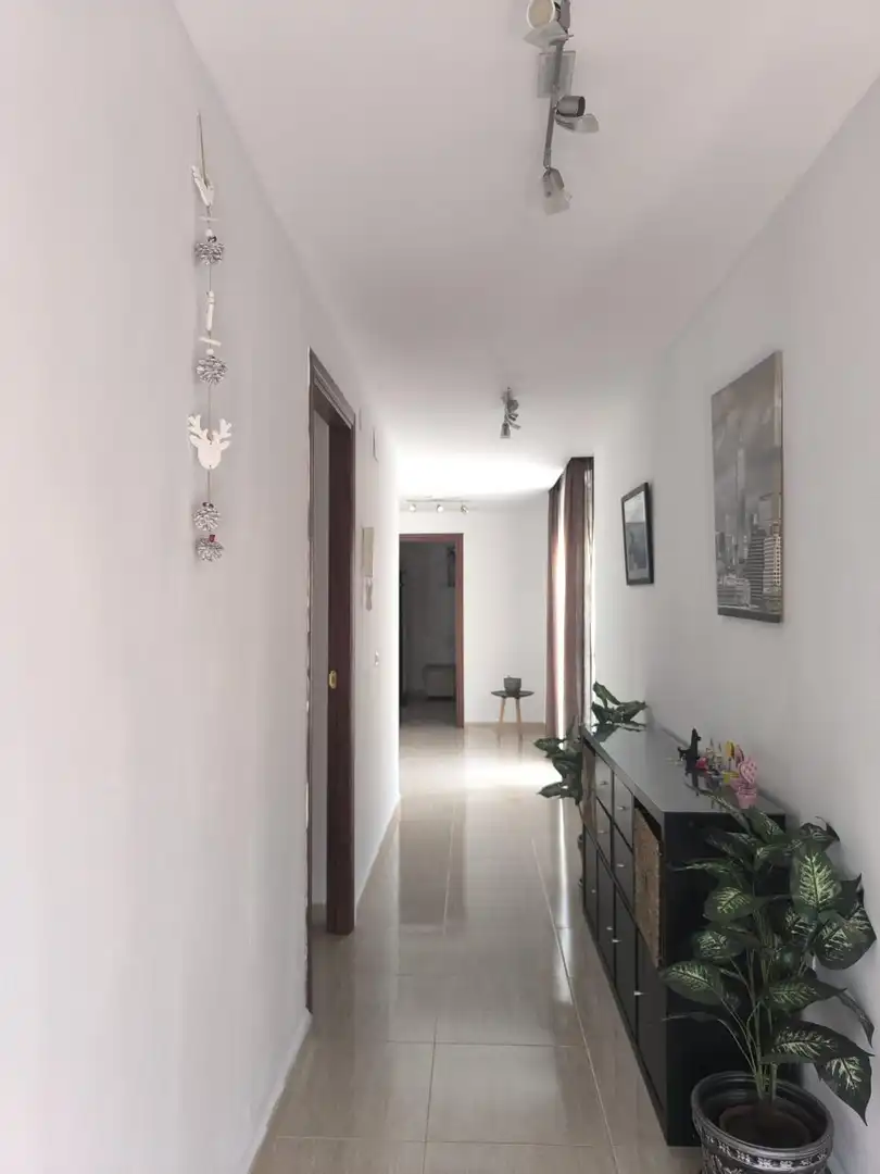 Casa o chalet de alquiler en La Carlota