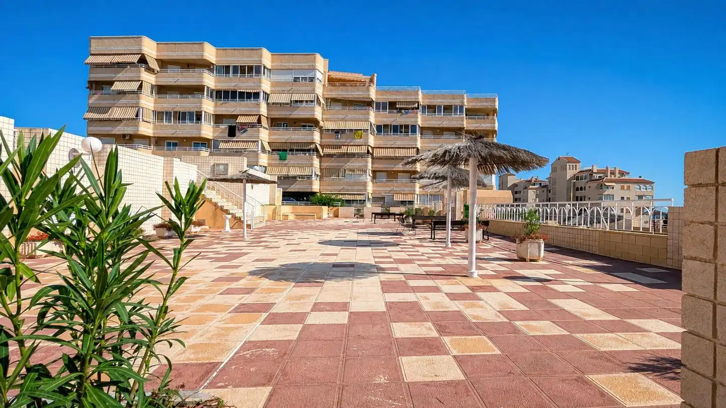 Exterior view of Detached homes for sale in Elche / Elx  with Terrace, Storage room and Swimming Pool
