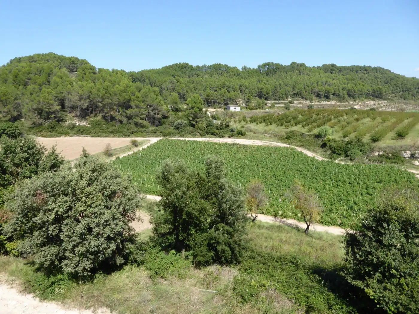 Finca rústica en venta en Sant Martí de Tous con Aire acondicionado, Calefacción y Jardín privado