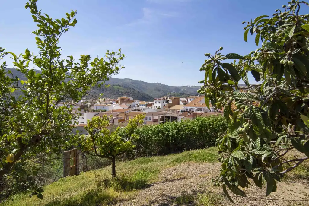 Casa rústica con piscina en venta en Riogordo, imagen 26