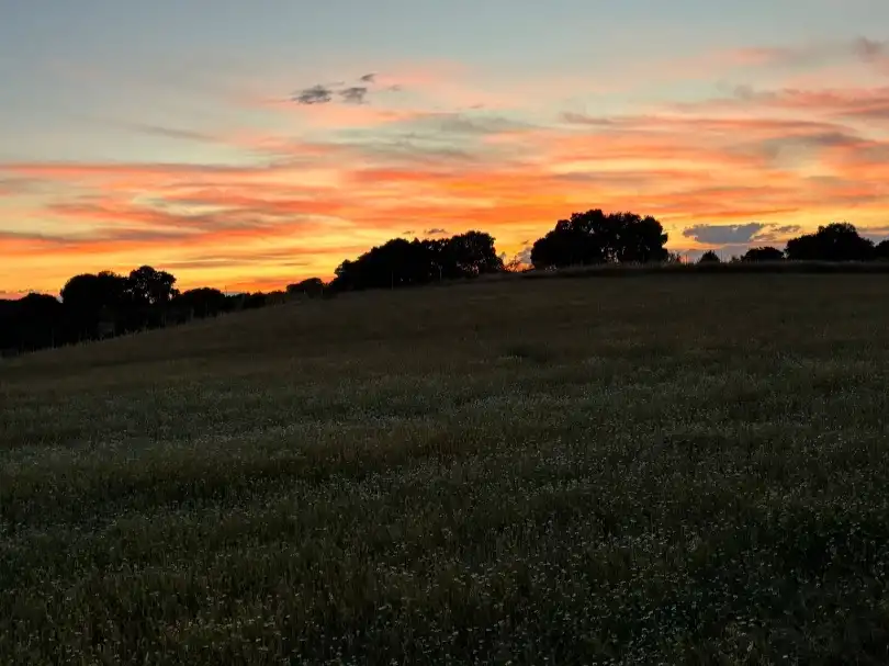 Terreno rustico in vendita a Camino de las Salinas 5, imagen 7