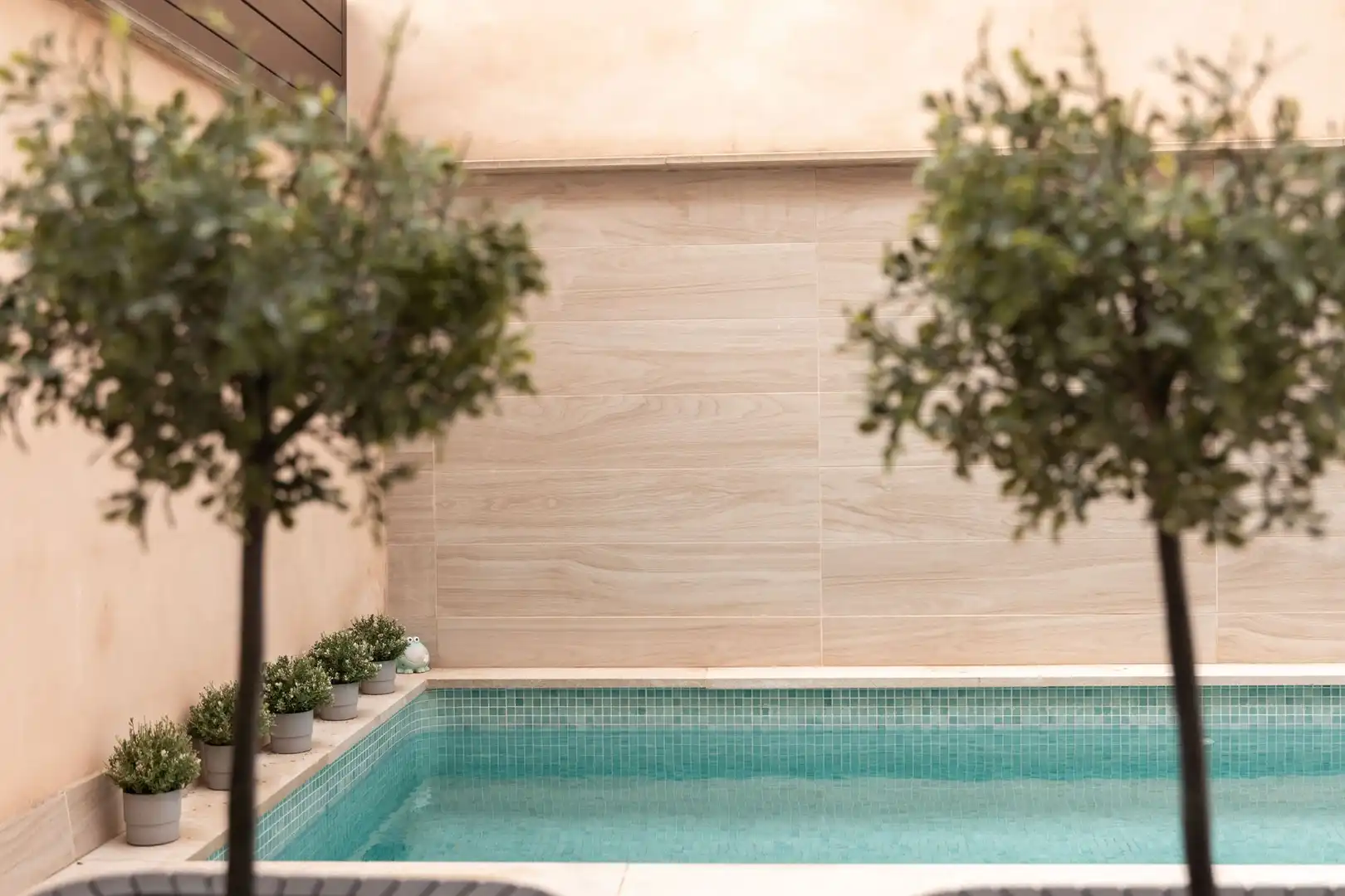 Piscina de Casa adosada en venta en Marratxí con Terraza