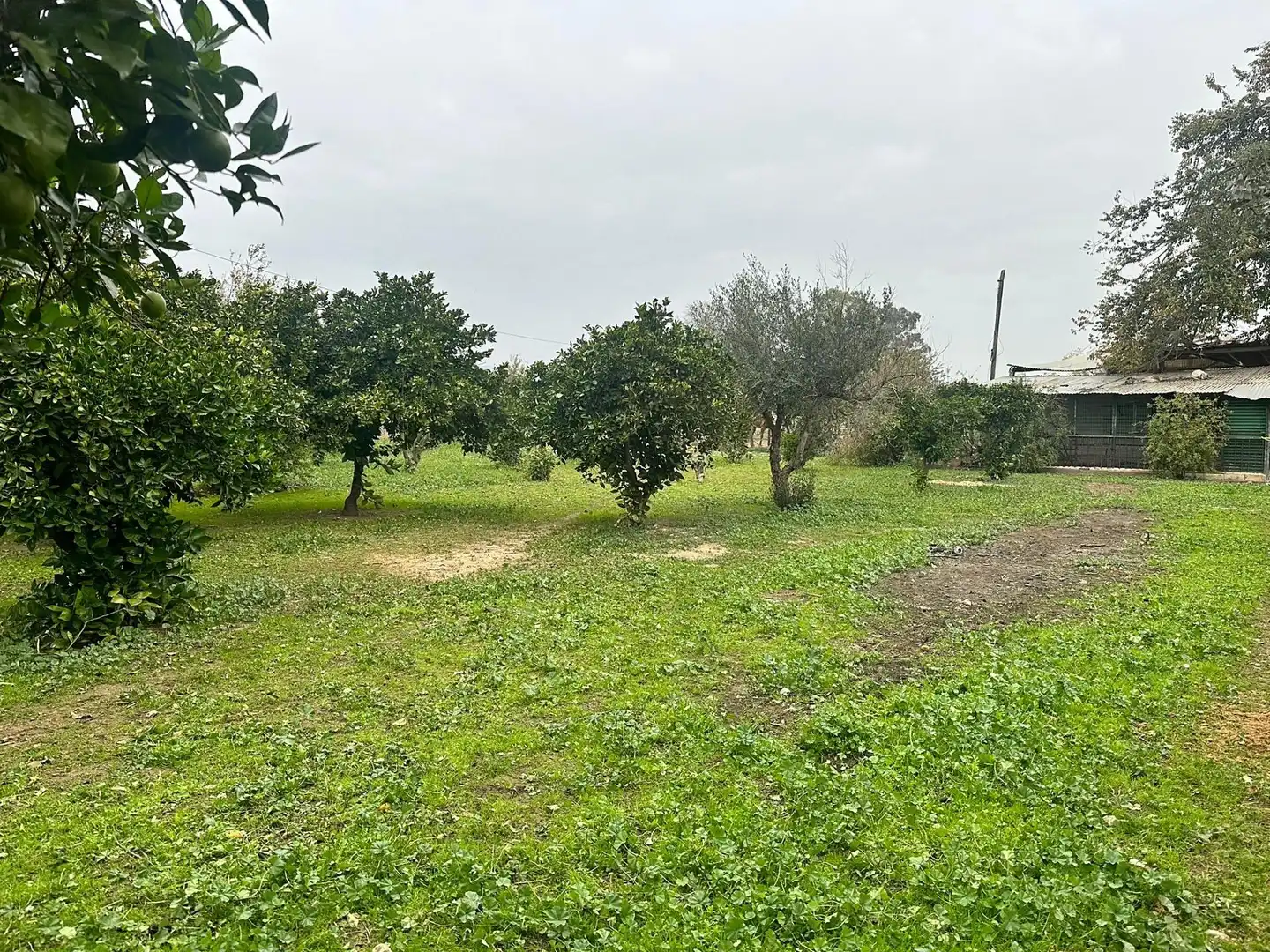 Finca rústica en venda a Villarrubia
