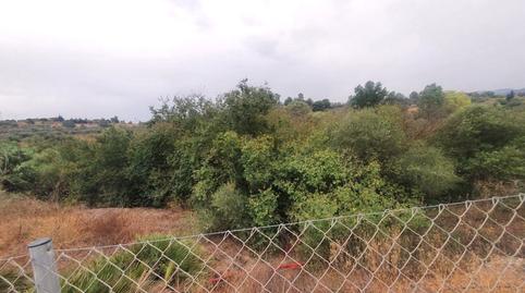 Foto 4 de Finca rústica en venda a Campanillas, Málaga