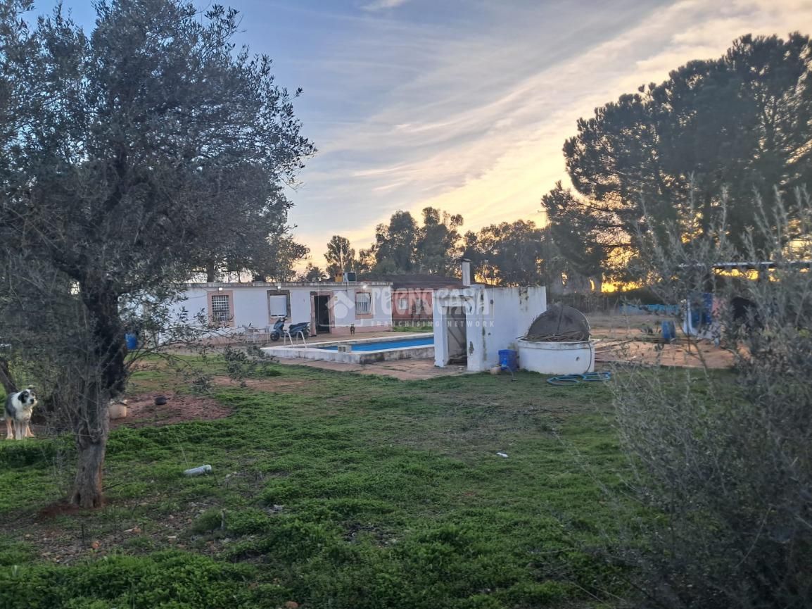 Finca rústica en venda en Carmona amb Piscina