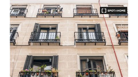 Photo 5 of Room in Acacias, Madrid Capital