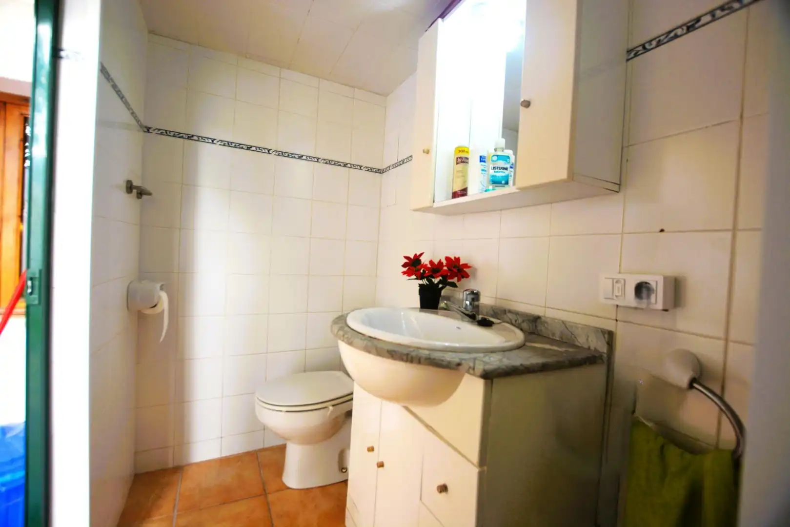 Casa amb jardí en venda a Ferreries poble, imagen 11