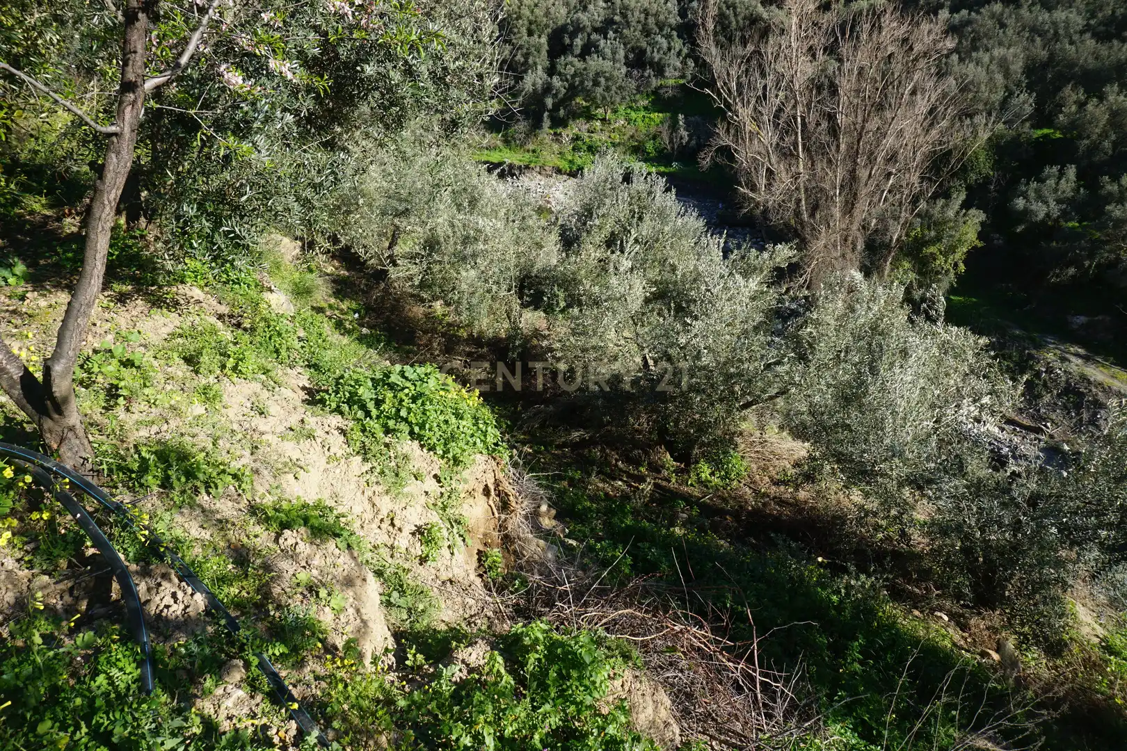 Terreni e lotti in vendita a WG79+QW Lanjarón, Spain, imagen 5