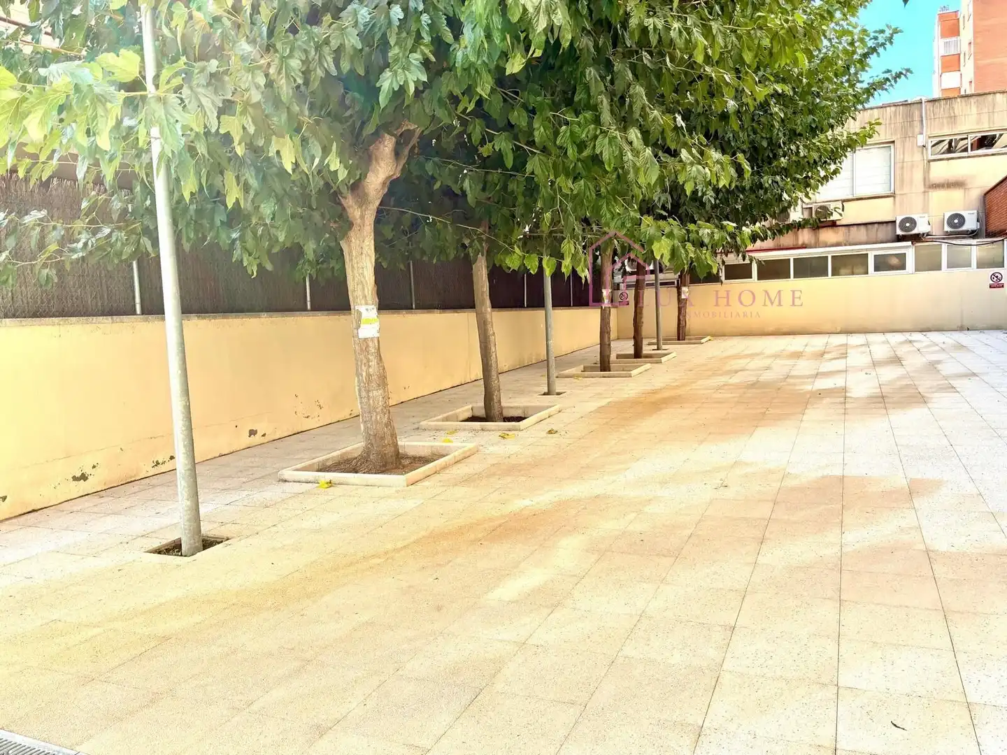 Baixos amb terrassa en venda a Muntanyeta, imagen 13