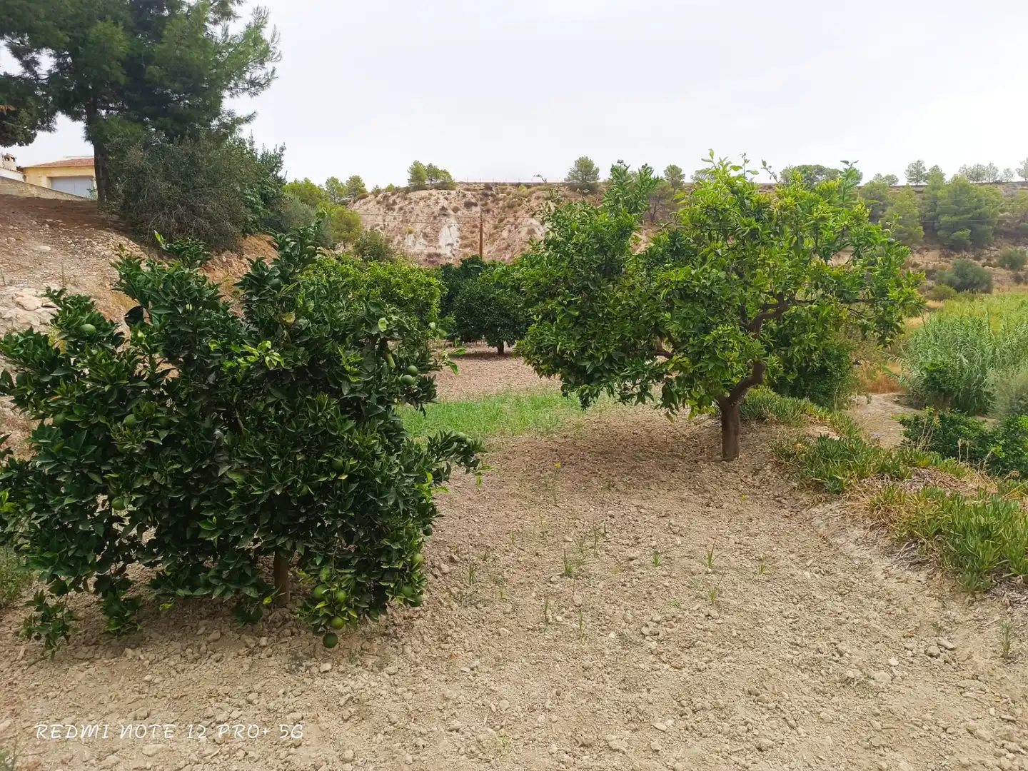 Haus zum Verkauf in Camino de la Balsa, imagen 33