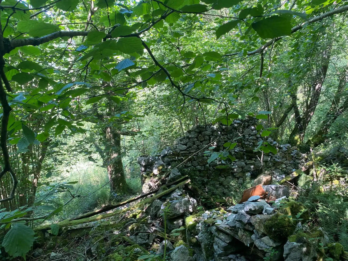 Terreno rustico in vendita a SEGÜENCO, imagen 14