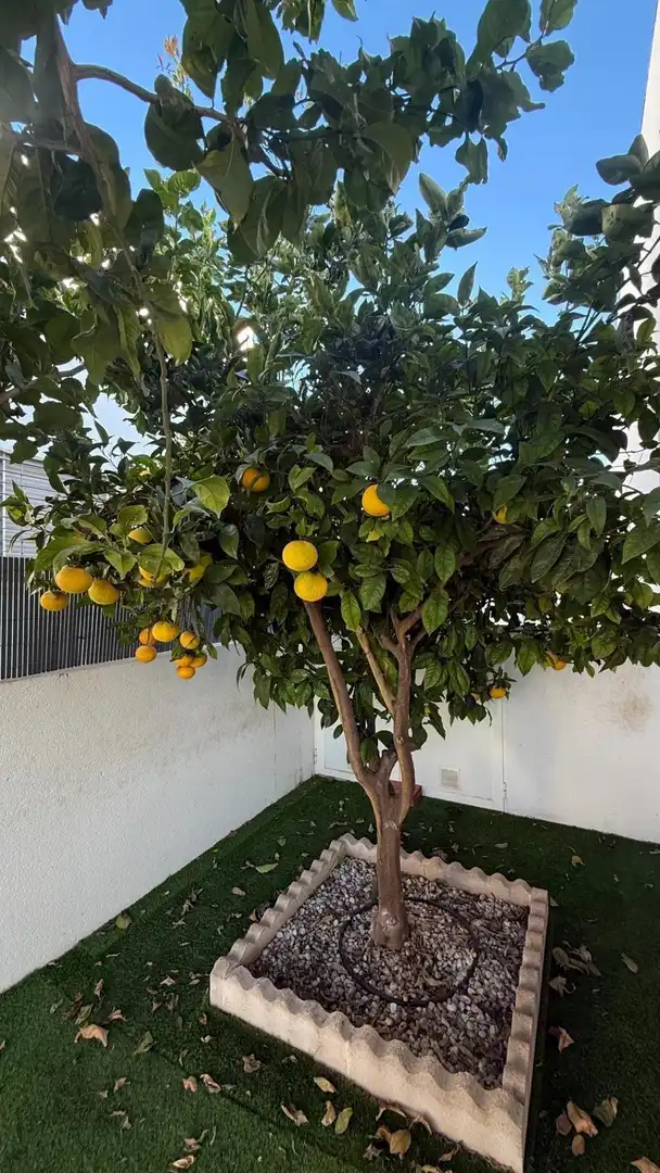 Casa a schiera in vendita a Los Balcones - Los Altos, imagen 24