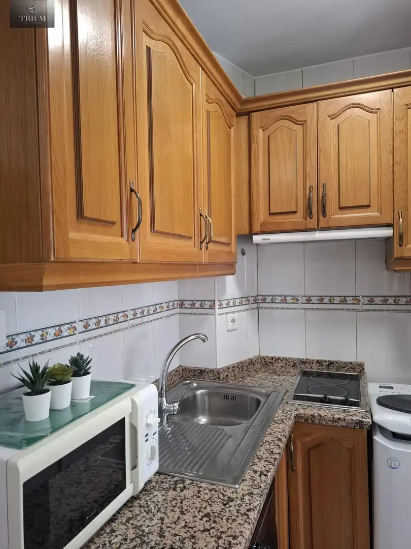 Cuina de Apartament de lloguer en Granada amb Traster, Moblat i Balcó