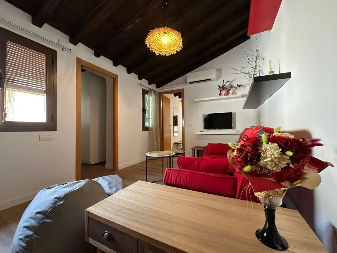 Sala d'estar de Pis de lloguer en Toledo amb Aire condicionat, Calefacció i Terrassa