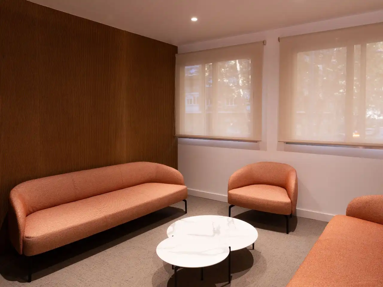 Living room of Office for rent in Madrid  with Air Conditioner, Heating and Furnished