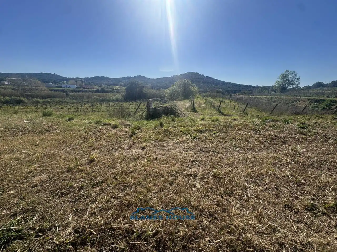 Terreno rustico in vendita a Calle Bosch Rabasa 1, imagen 19