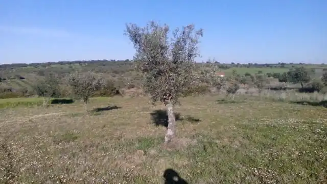 Residencial en venda en Valsequillo