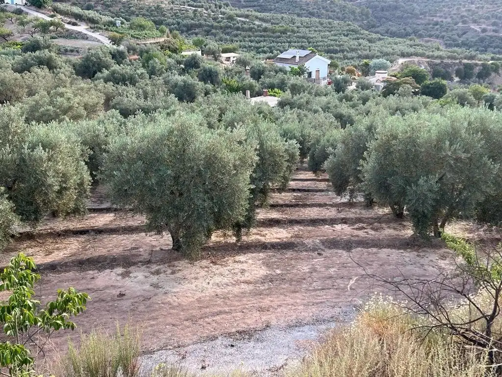 Casa rustica in vendita a El Valle, imagen 9