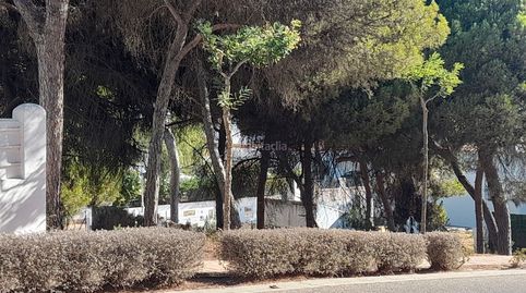 Terreno lado playa, immagine 2