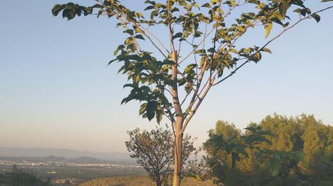 Photo 4 of Residential for sale in El Raval, Barcelona