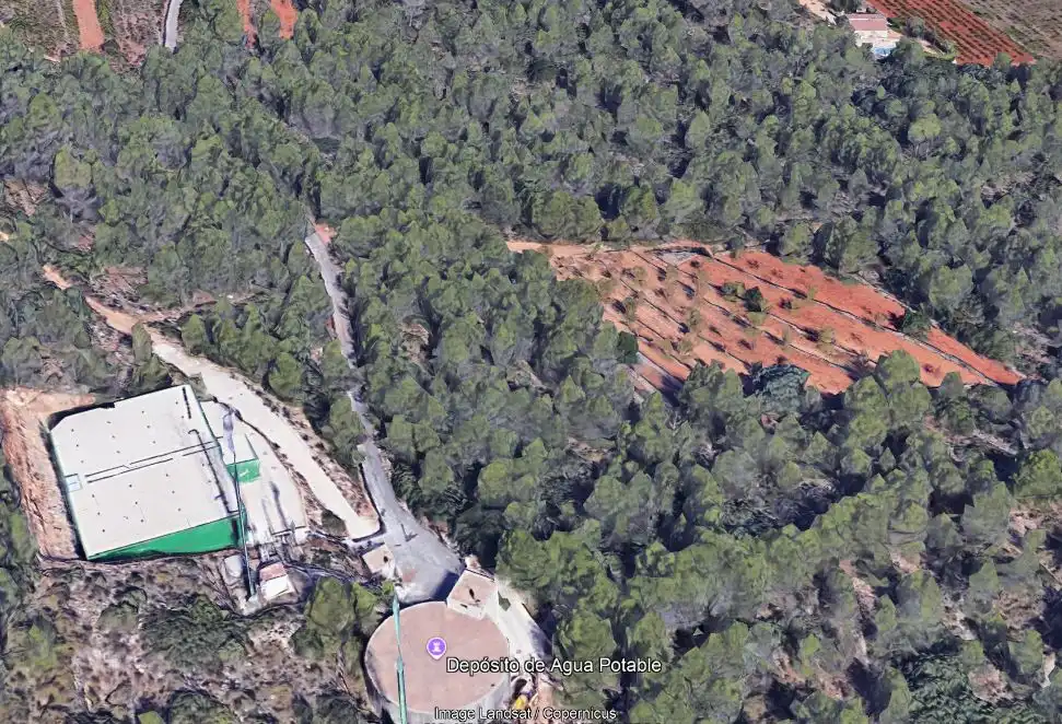 Rural land for sale in Avinguda Sant Domènec 1A, imagen 5