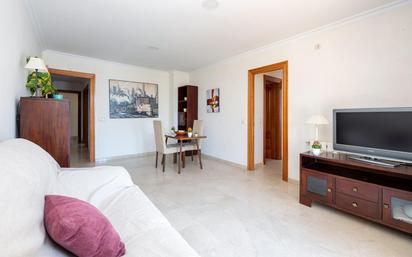 Sala d'estar de Pis en venda en Guadix amb Aire condicionat, Terrassa i Balcó