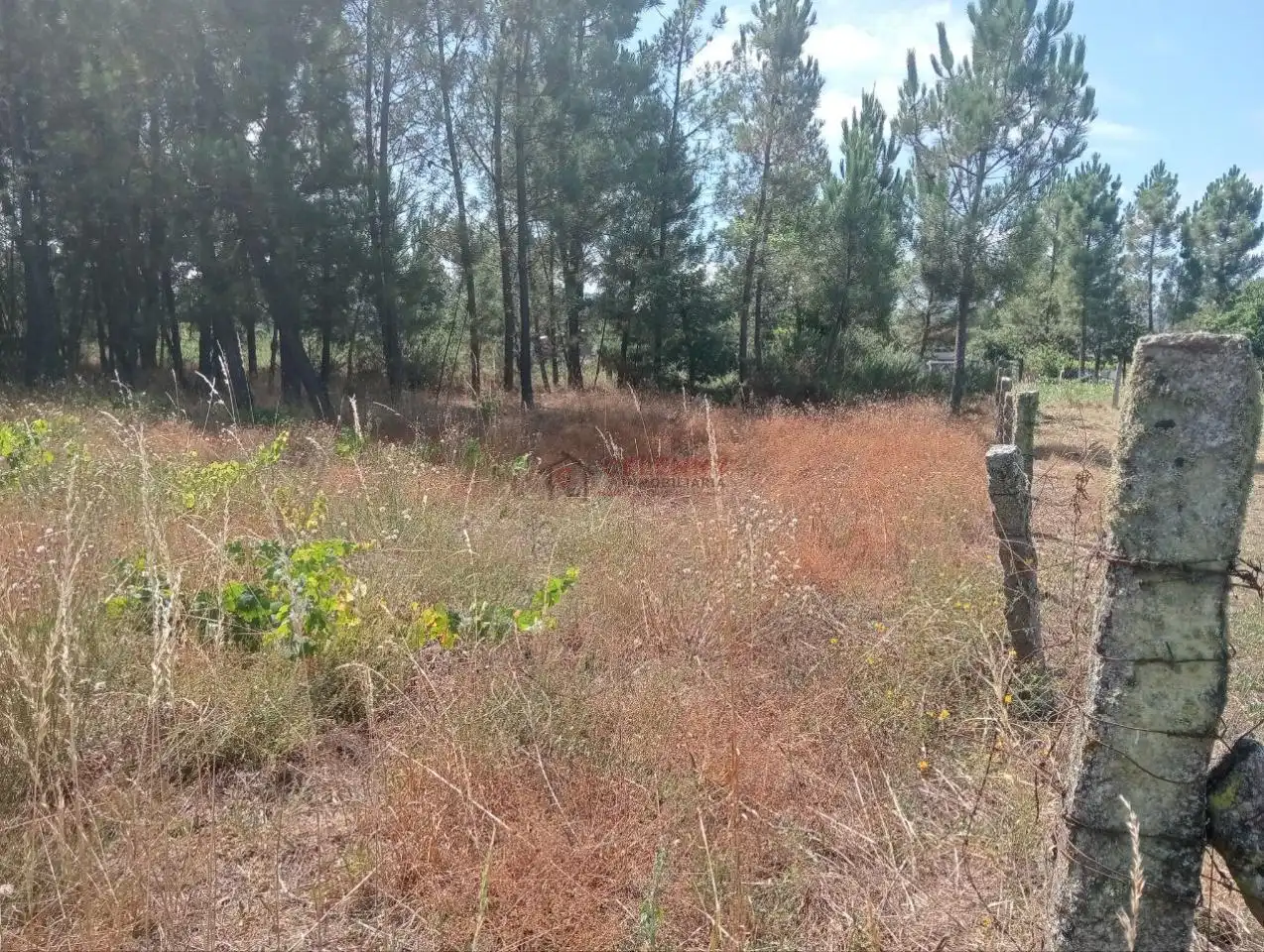 Terreni e lotti in vendita a San Cibrao das Viñas, imagen 10