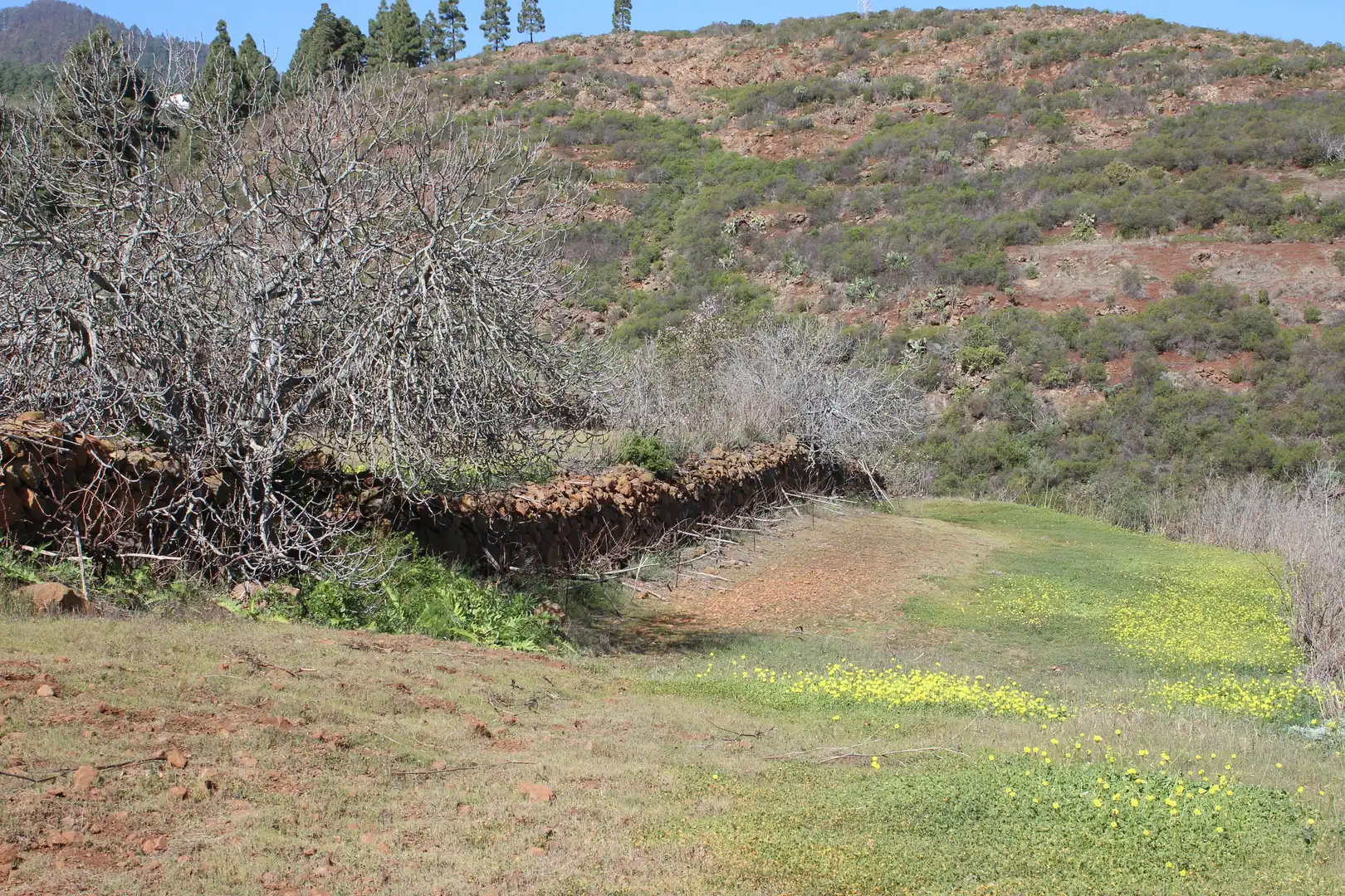 Rustikales Grundstück zum Verkauf in Machado - Las Barreras, imagen 13