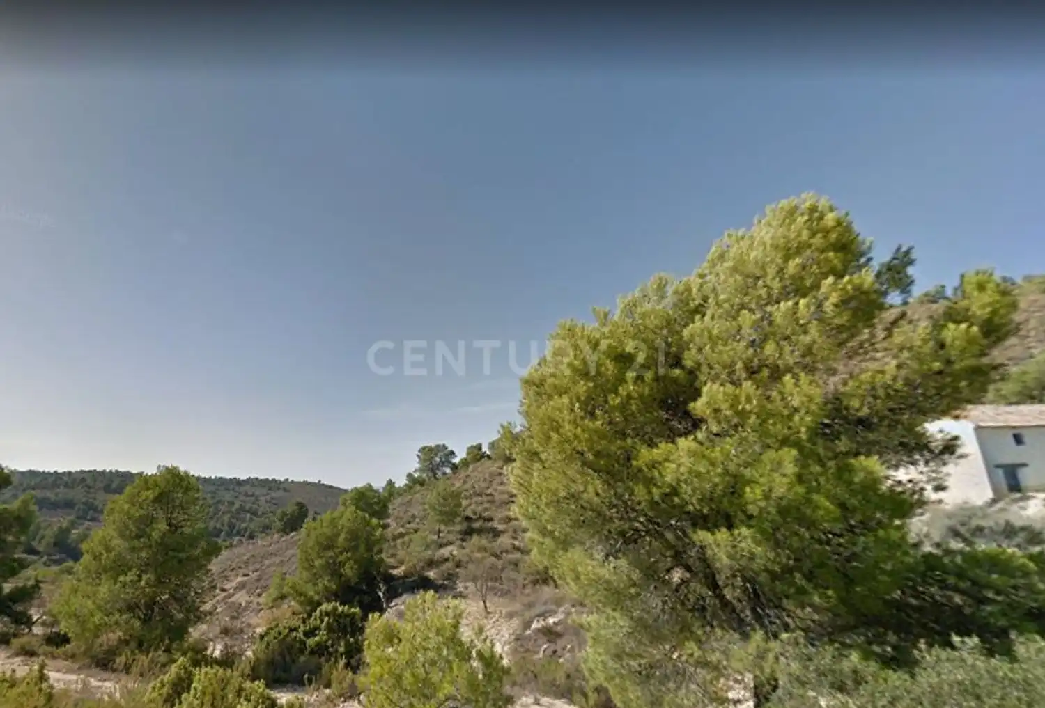 Terreno rústico en venta en Partida el Peralejo, imagen 5