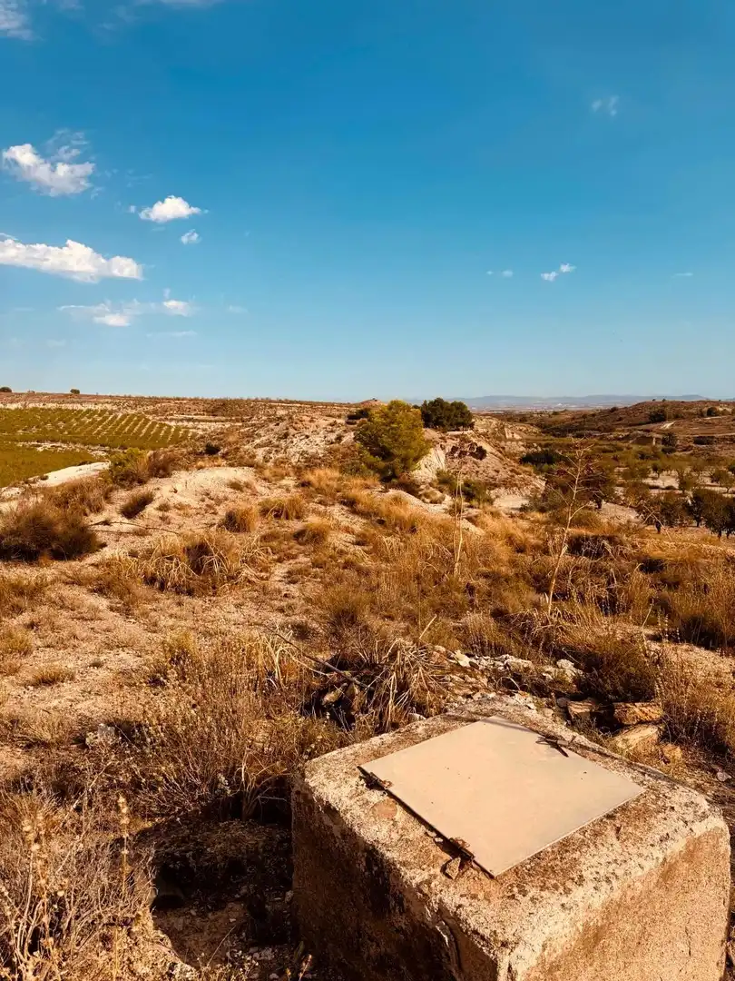 Terrain rustique à vendre à Campo de Murcia, imagen 18