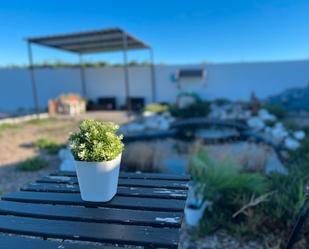 Terrace of Country house for sale in Osera de Ebro  with Private garden, Storage room and Swimming Pool