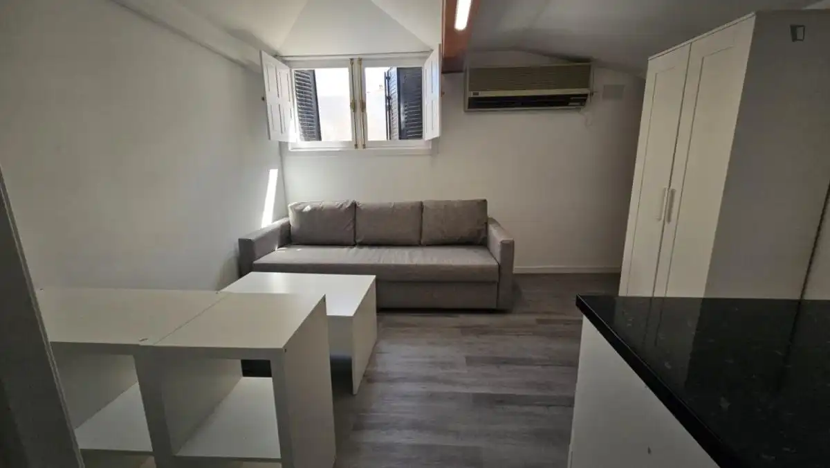 Sala de estar de Apartamento de alquiler en Madrid con Aire acondicionado, Calefacción y Amueblado