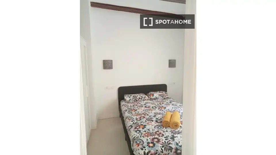 Appartamento con terrazza in affitto a Ciutat Vella, imagen 13