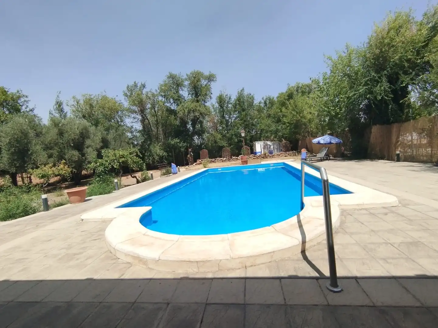 Piscina de Finca rústica en venda en Argamasilla de Alba amb Jardí privat, Piscina i Moblat