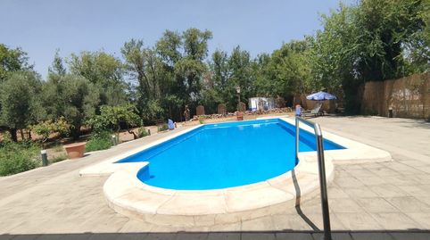 CHALET CON PISCINA A POCOS MINUTOS DE TOMELLOSO Y ARGAMASILLA DE ALBA