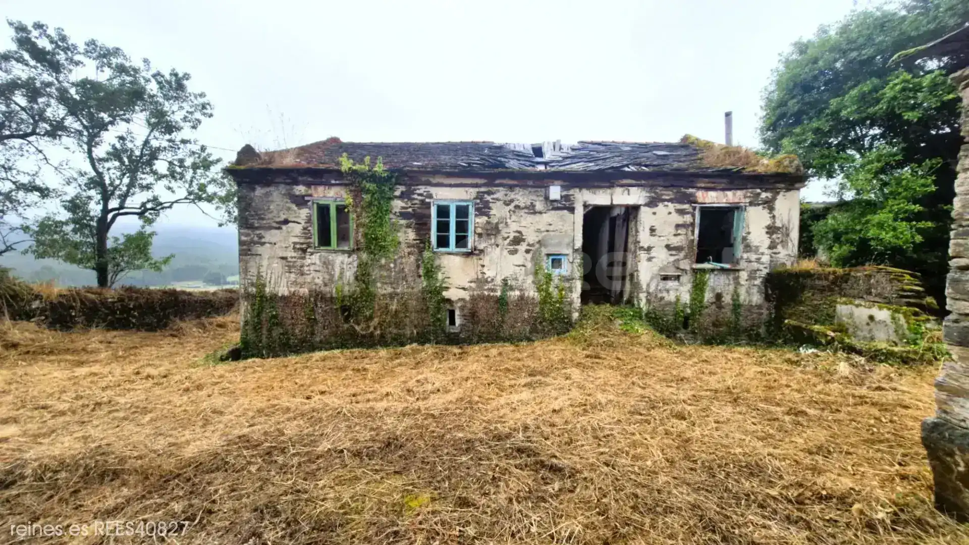 Vista exterior de Casa o xalet en venda en Trabada amb Jardí privat