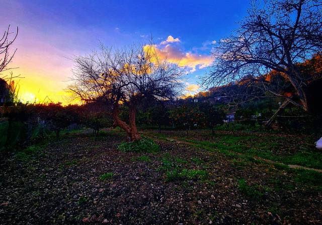 Terreno residencial en Venta en Benaocaz