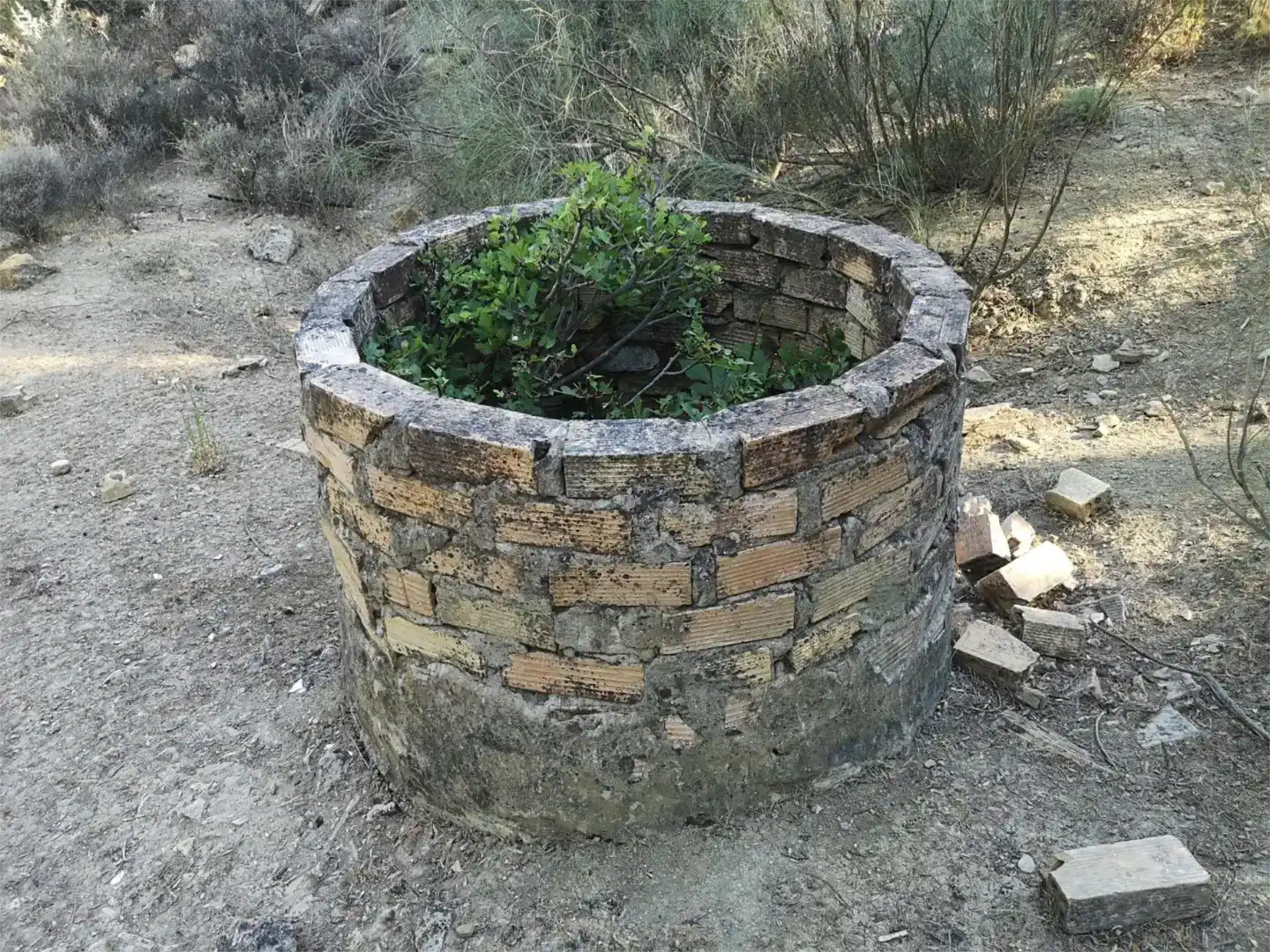Finca rústica en venta en La Vega