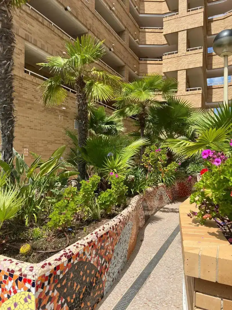 Terraza de Apartamento de alquiler en Marina d'Or