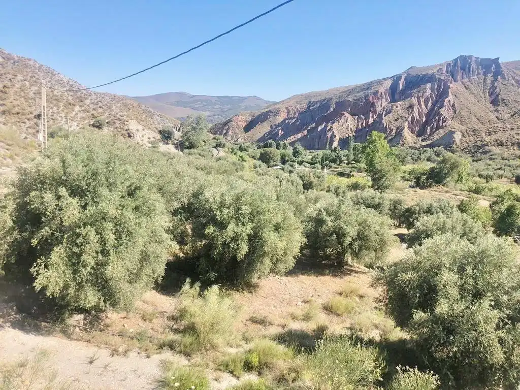 Terreni e lotti in vendita a Polígono Polígono 21 Parcela 10 EL CERRON UGIJAR (GRANADA, imagen 14