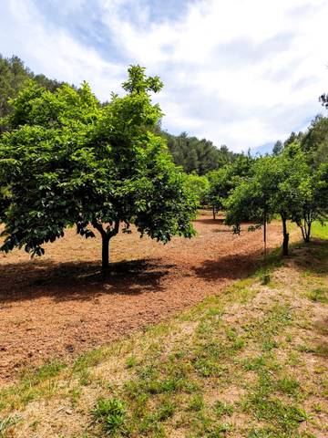 Casa-chalet en Venta en Castellfollit del Boix