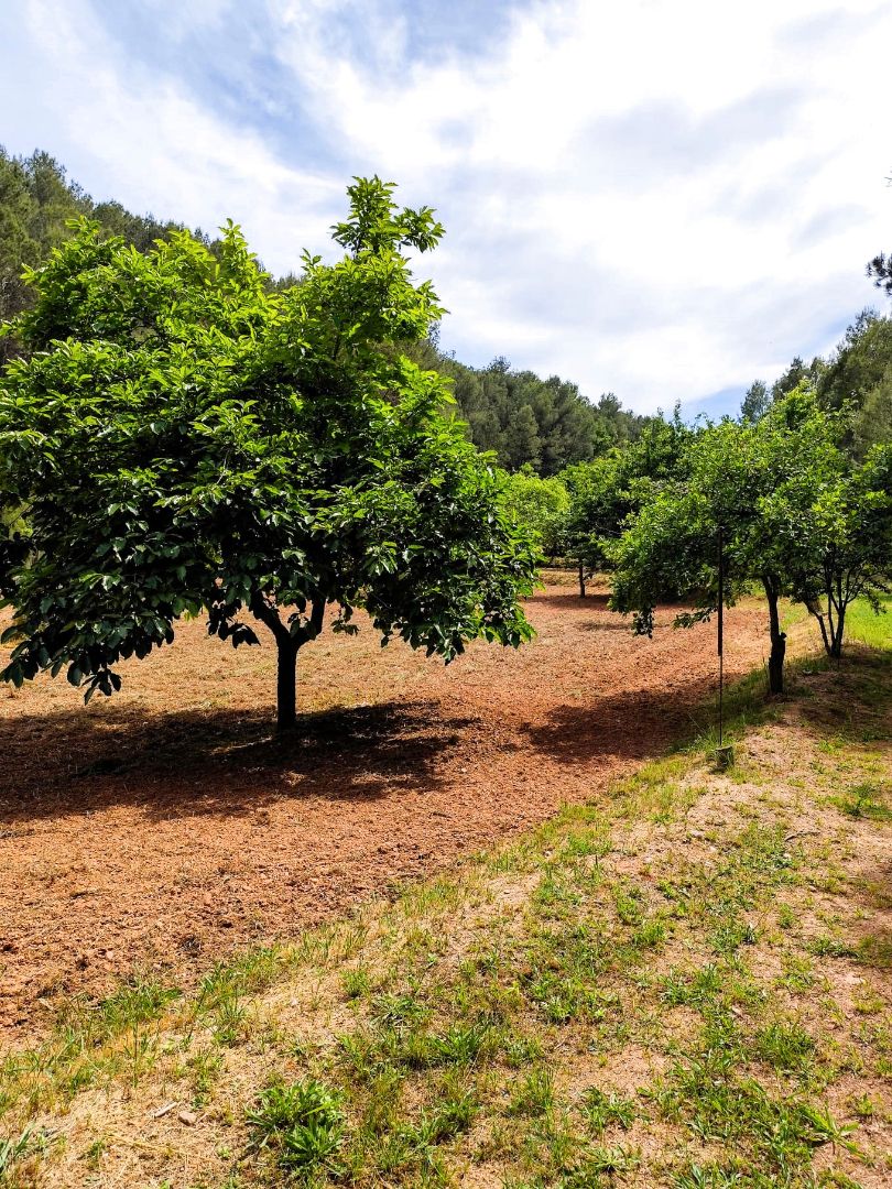 Casa o xalet en venda a Castellfollit del Boix
