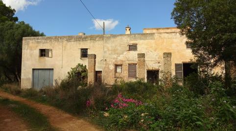 Foto 4 de Finca rústica en venta en Sant Jordi,  Palma de Mallorca
