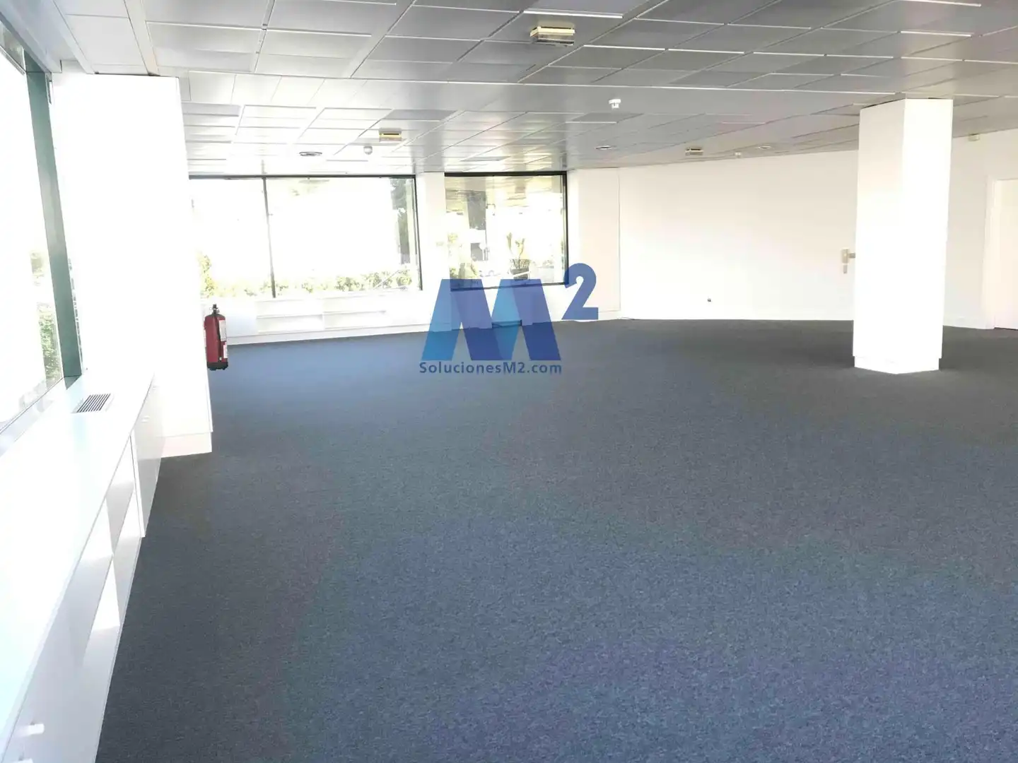Office space to rent in Europa, imagen 8