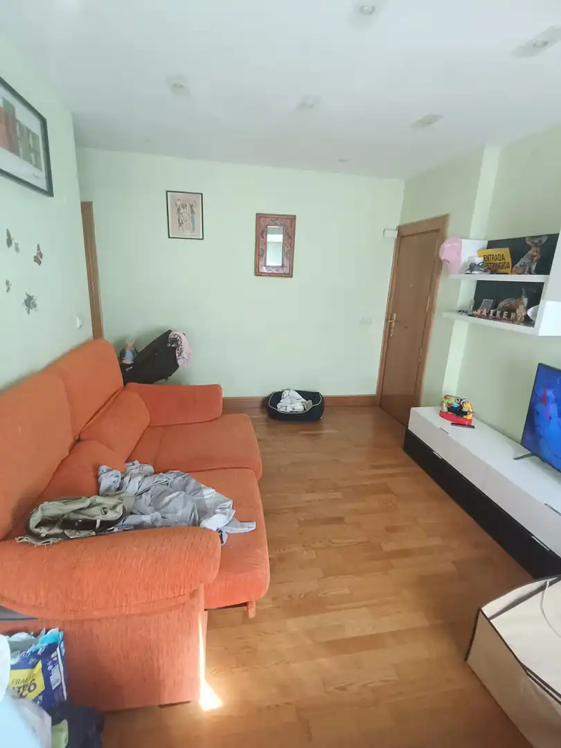 Pis amb terrassa en venda a Rontegui - Pormetxeta, imagen 2