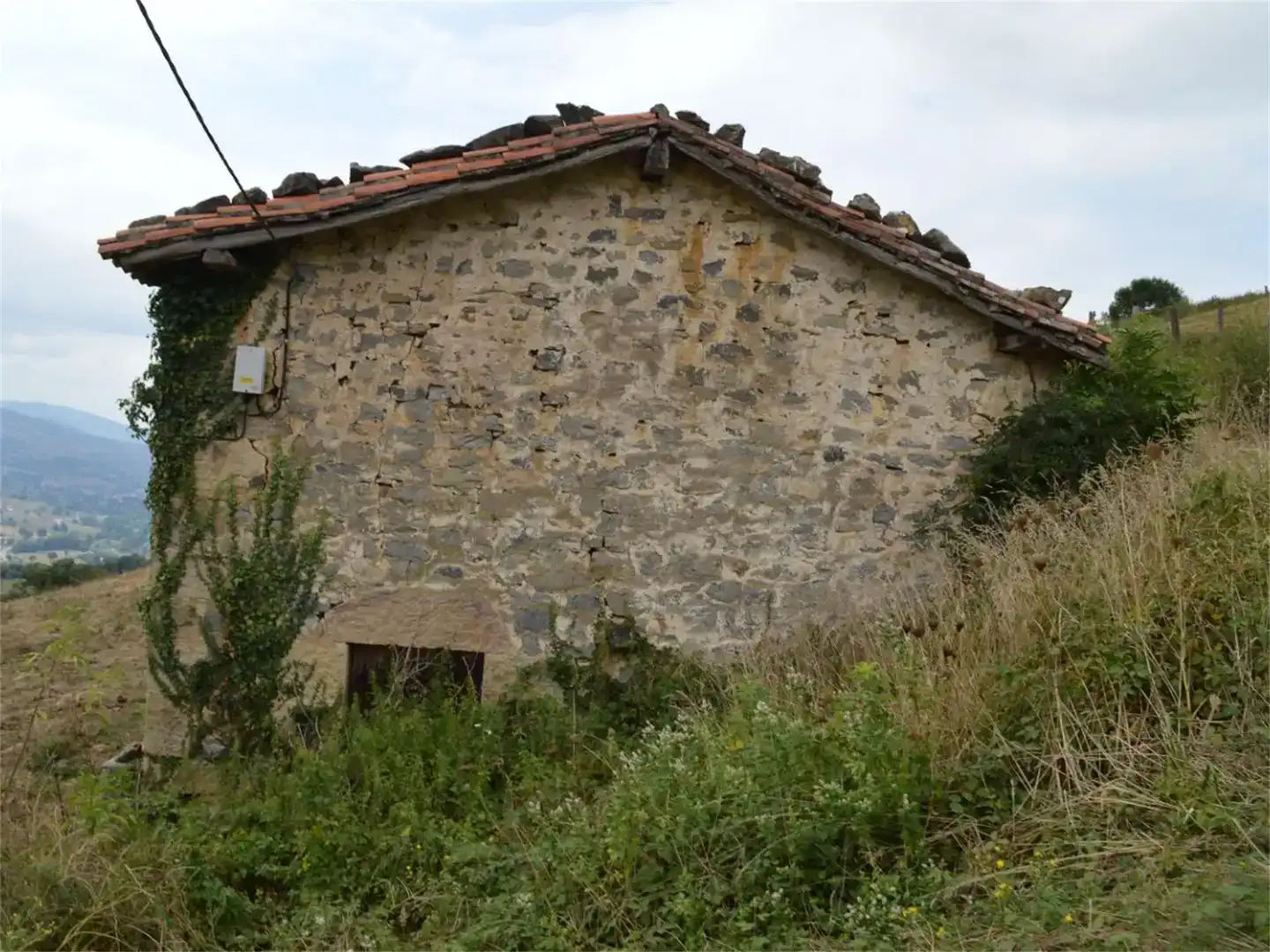 Vista exterior de Finca rústica en venda en Villacarriedo