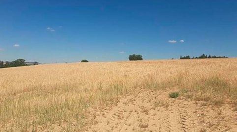 Terreno urbanizable en venta en lugar Sector 22 Par Poligono, immagine 2